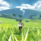 Illustration for article titled A First Look At Tales Of Zestiria